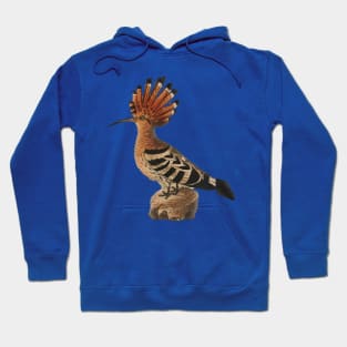 bird standing on a wood Hoodie